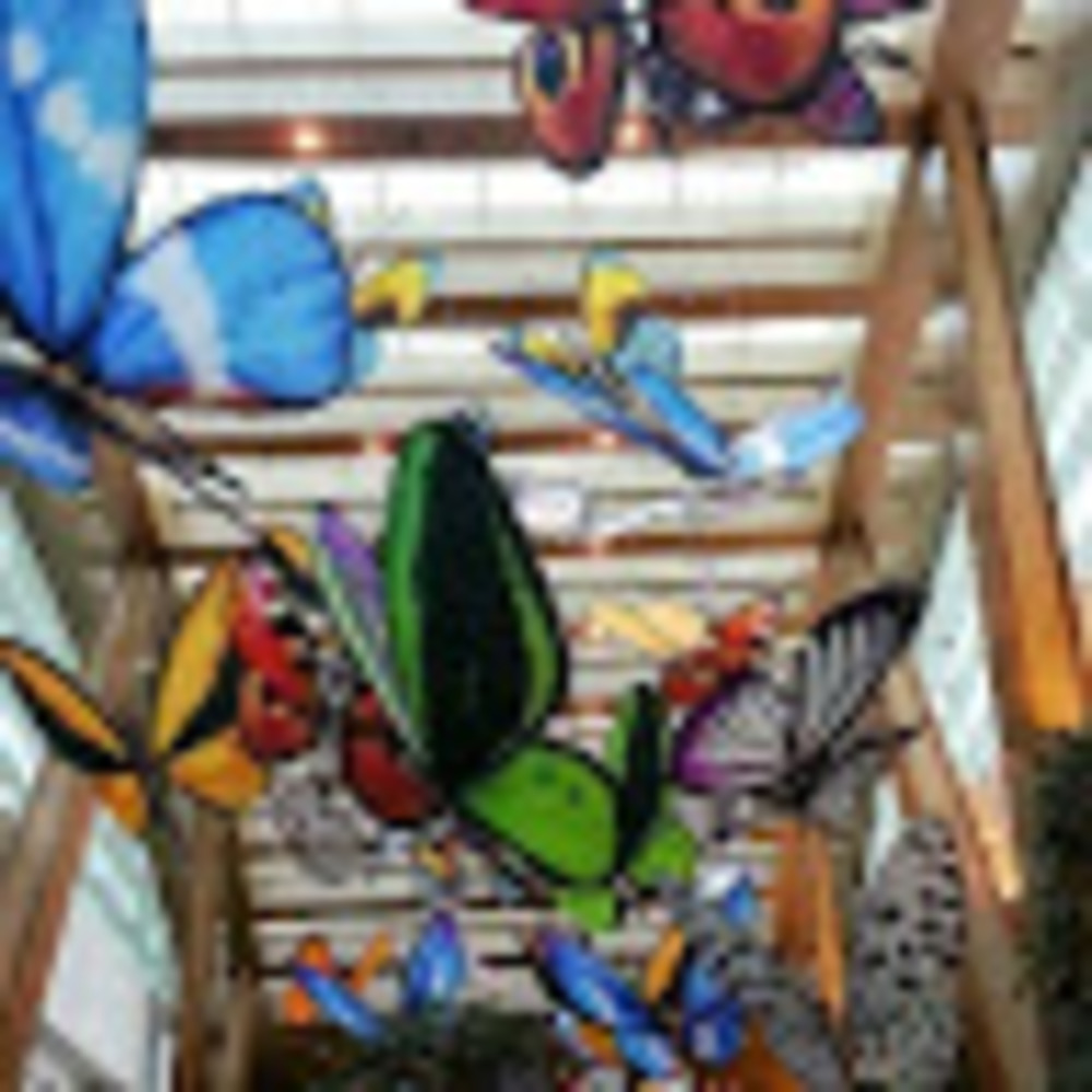 Meet your Posher, Michelle